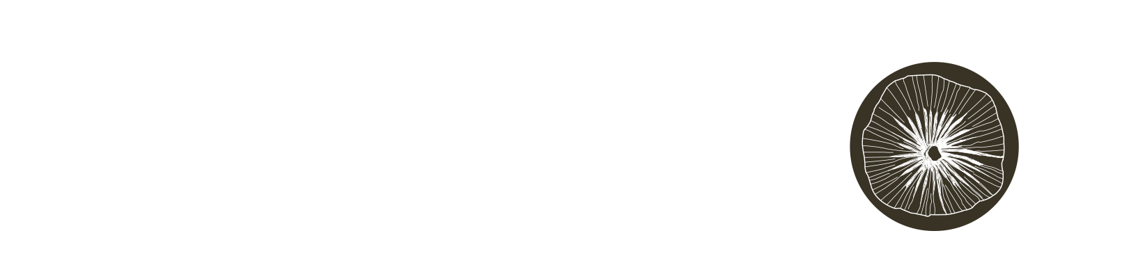 Millennium-footer-logo